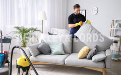 Sofa Cleaning