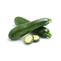 Cucumber