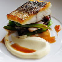 British Fish Seabass