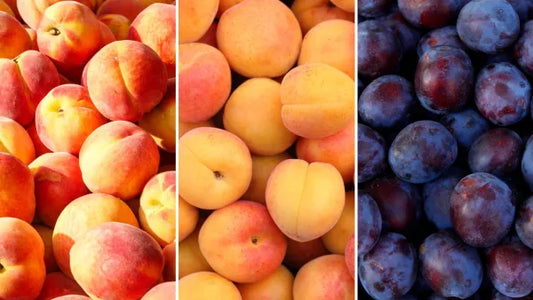 Apricot & Plums