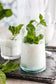 files/Ayran_SaltedYogurtDrink_7f92c942-c7da-4bf6-8278-0fae08fa20b3.jpg