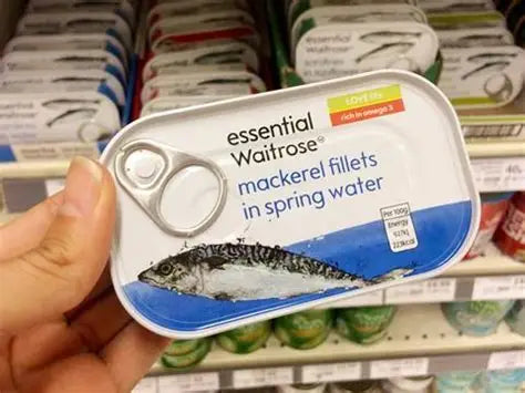 Canned Mackerel