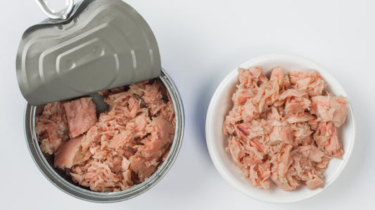 Canned Tuna in Brine