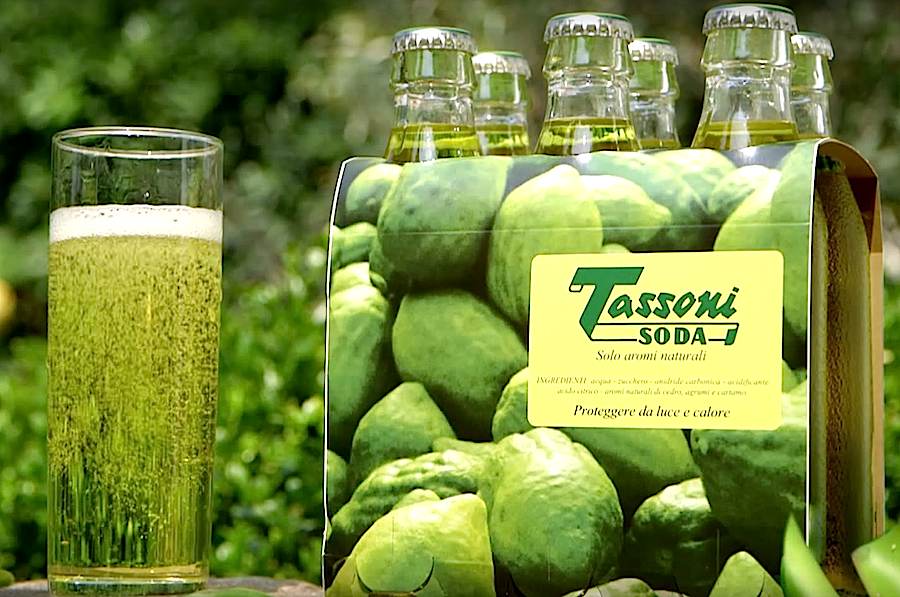 Italian Cedrata (Cedar Citrus Soda)