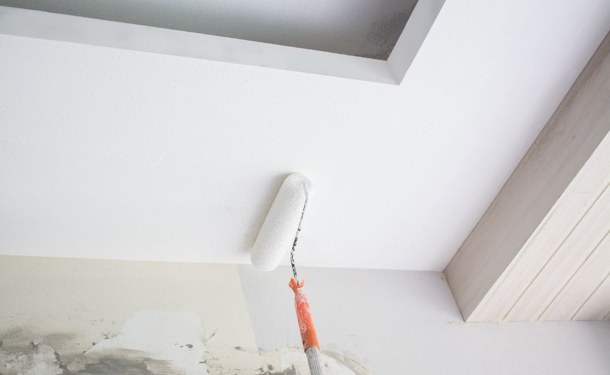 Ceiling Painting