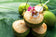 files/CoconutWater_Fresh.webp