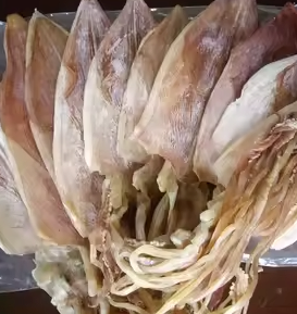 Cuttlefish
