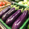 Eggplant (aubergine/brinjal)