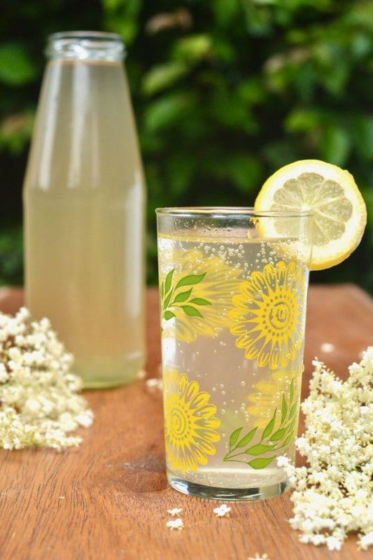 British Elderflower Cordial (Sparkling)