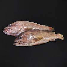 Hamour