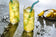 files/IcedGreenCardamomTea.jpg