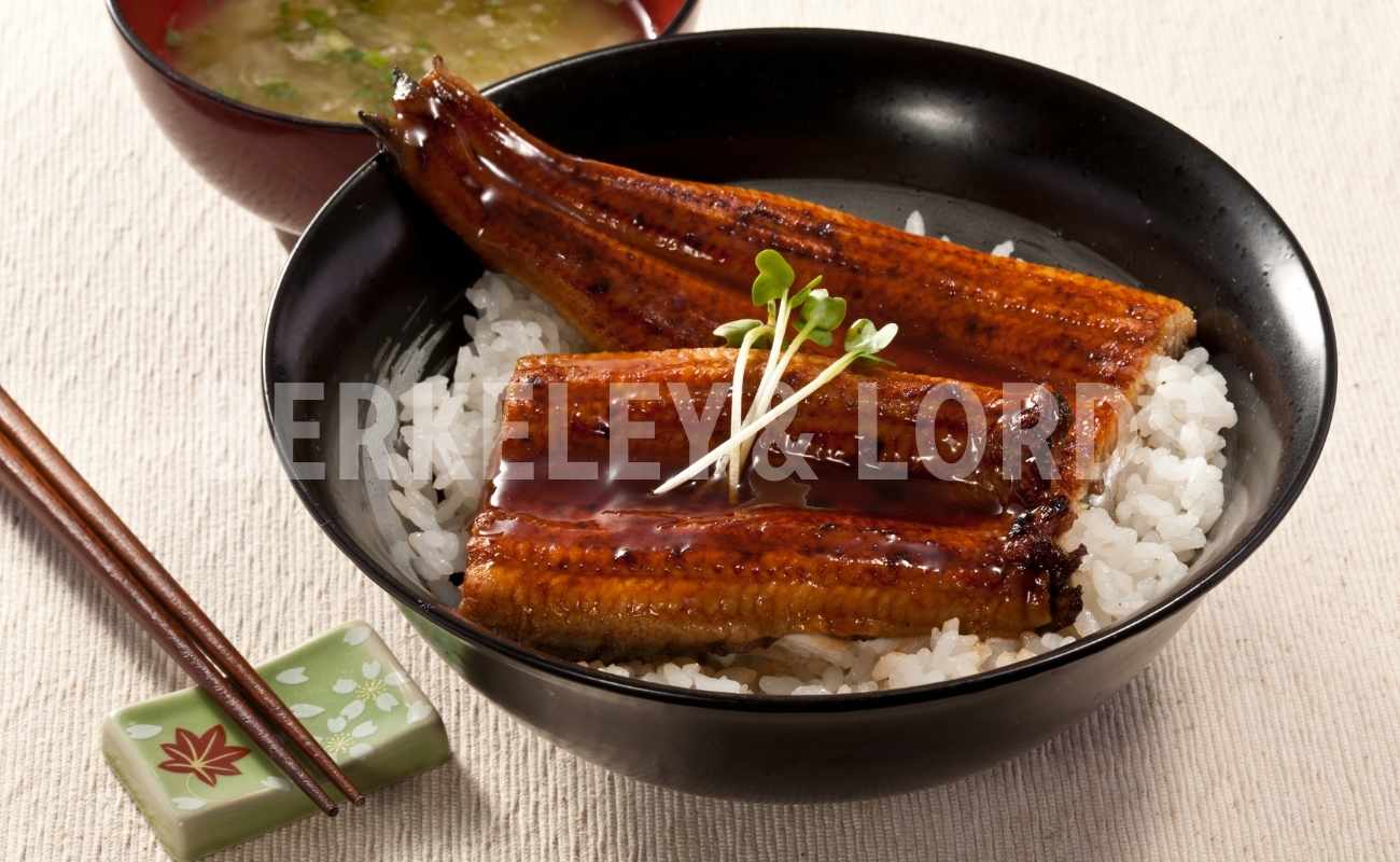 Japanese Unagi Tare Yaki
