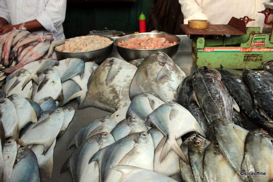 King Fish