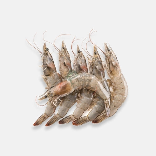Prawns