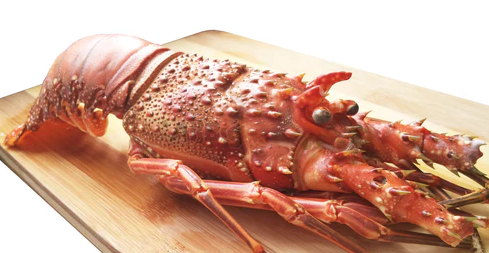 Lobster (Whole / Tail)