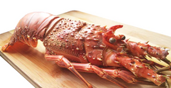 Lobster (Whole / Tail)