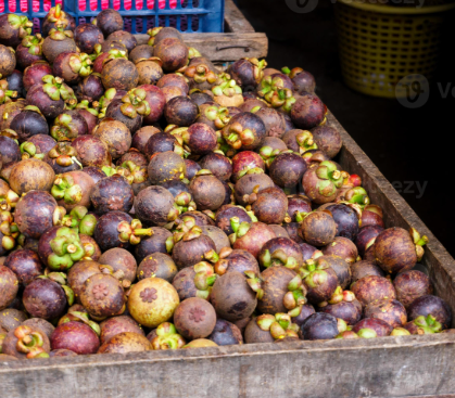 Mangosteen
