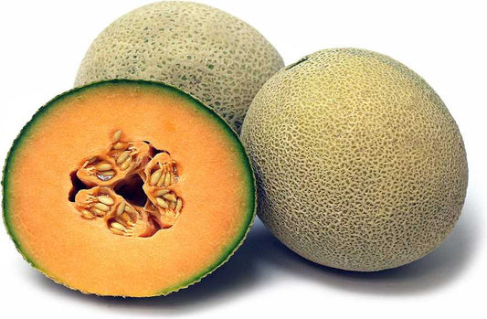 Melon