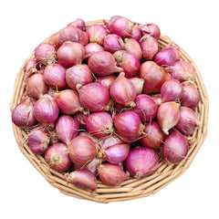 Onion & Shallots