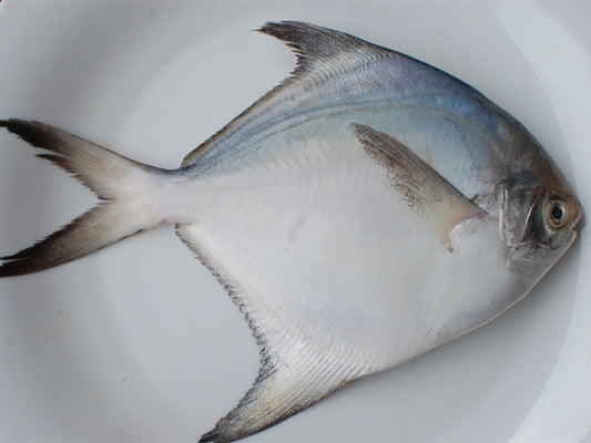 Pomfret