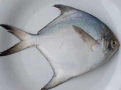 Pomfret