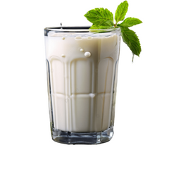 Turkish Laban Ayran