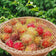 files/Rambutan.webp
