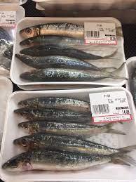 Sardines