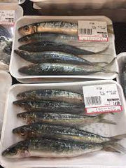 Sardines