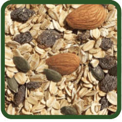 Seed Fruit