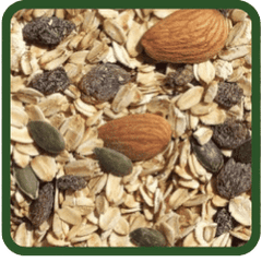 Seed Fruit