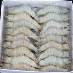 Shrimps