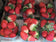 files/Strawberries.jpg