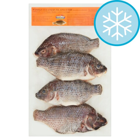 Tilapia