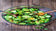 files/Untitleddesign_63.jpg