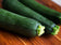 files/Zucchini_courgette.jpg